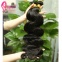 brazilian body wave hair 3 bundles