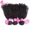 afro kinky curly hair