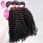 kinky curly brazilian hair