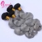 1b grey human hair